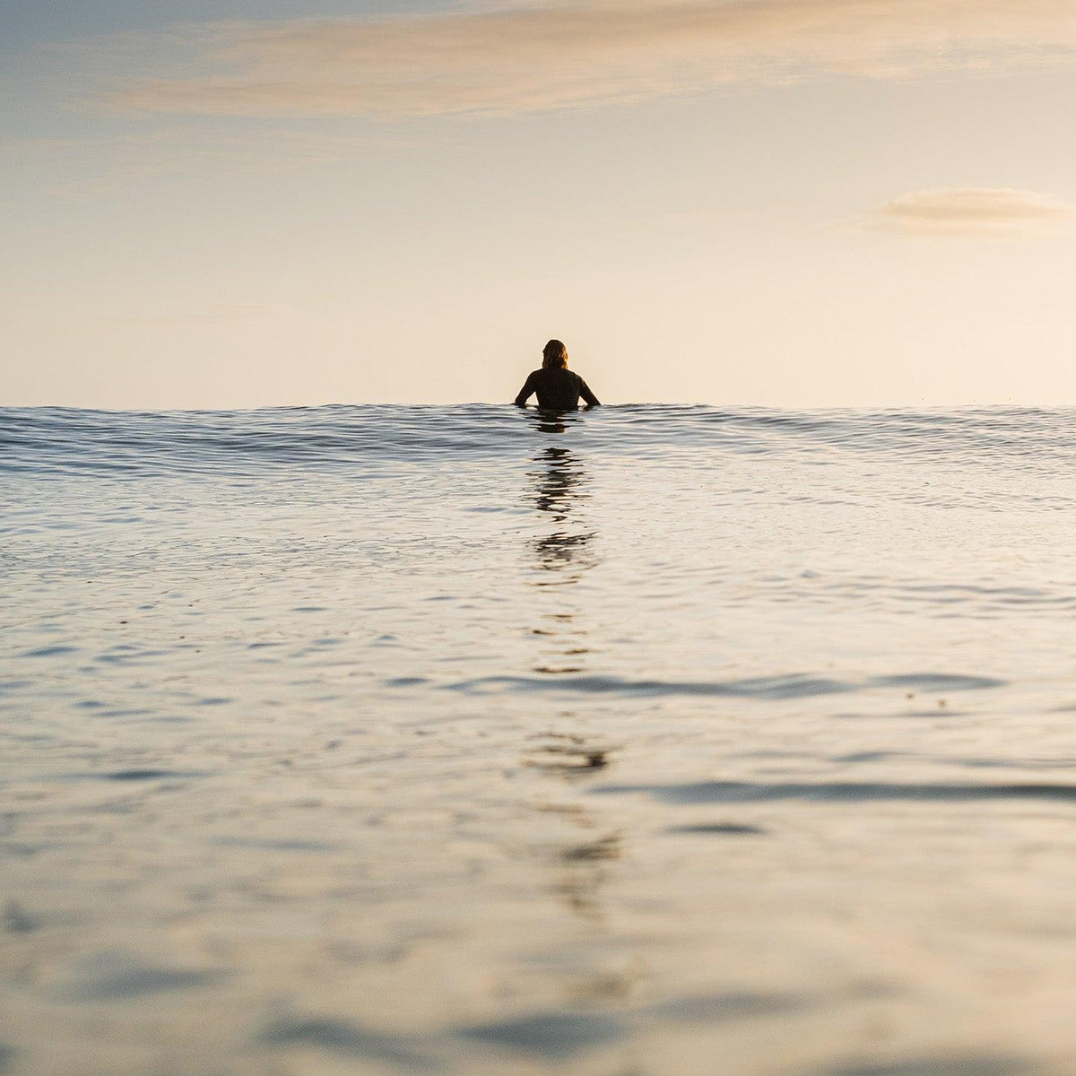 All products – Prolimit